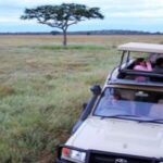 Dar es Salaam: Saadani National Park Wildlife Safari - What to Expect on Your Safari