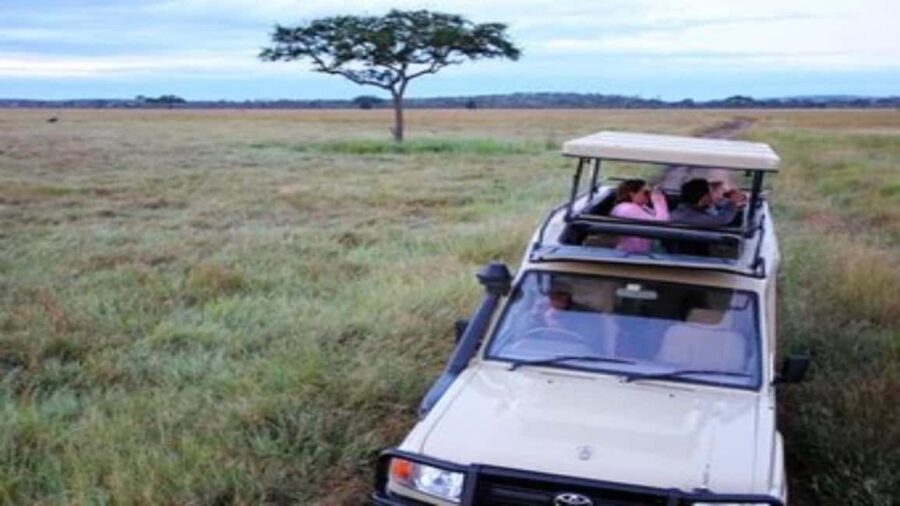 Dar es Salaam: Saadani National Park Wildlife Safari - What to Expect on Your Safari