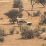 Dar es Salaam: Selous Game Reserve 3-Day Safari & Boat Tour - What’s Included & What to Consider