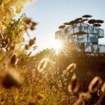 d'Arenberg: The Blending Bench Experience - What Do Reviewers Say?