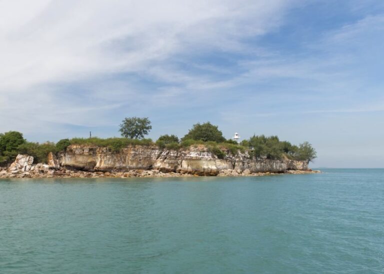Darwin: 1-Hour Bombing of Darwin Cruise - What to Expect During the Tour
