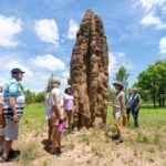 Darwin: 5-Day 4WD Kakadu Litchfield Tour & Billabong Cruise - What Makes This Tour Stand Out?