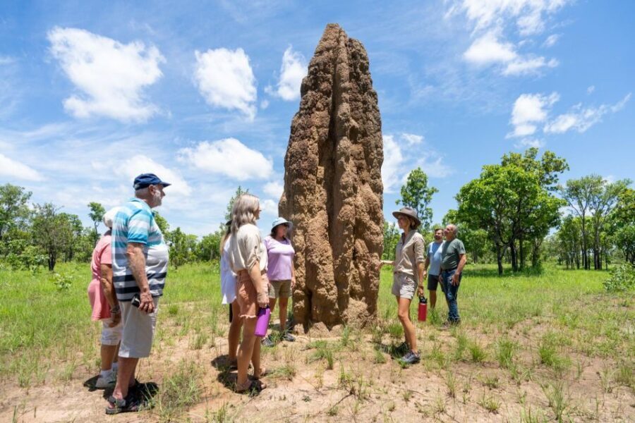 Darwin: 5-Day 4WD Kakadu Litchfield Tour & Billabong Cruise - What Makes This Tour Stand Out?