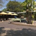 Darwin: Adelaide River Queen Original Jumping Crocodiles - Why This Tour Works for Different Travelers