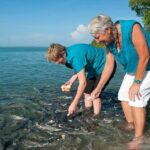 Darwin: Aquascene Fish Feeding Experience - Who Will Love This Experience?