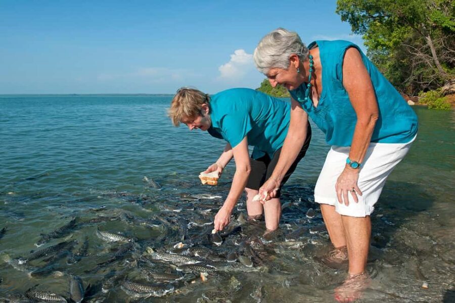 Darwin: Aquascene Fish Feeding Experience - Who Will Love This Experience?