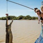 Darwin: City Sights and Jumping Crocodile Cruise - What to Expect from the Tour
