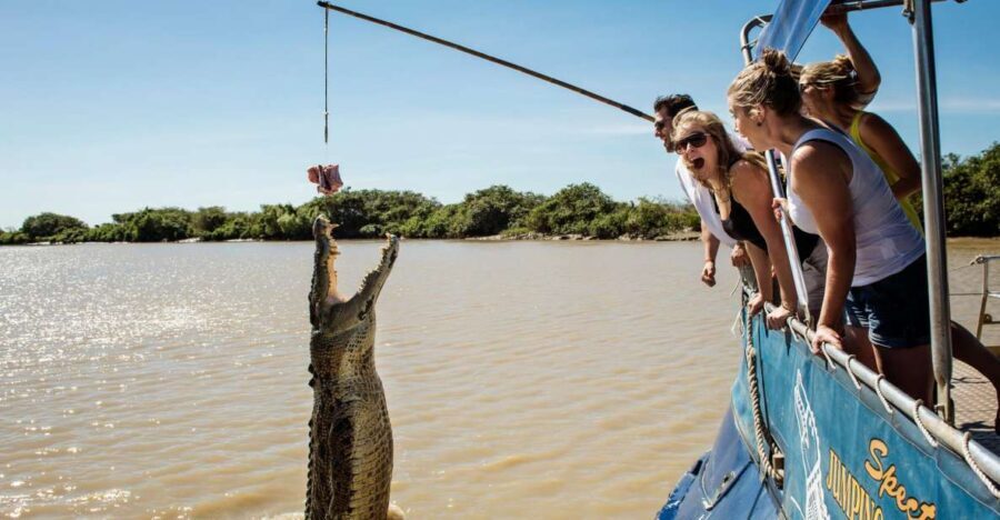 Darwin: City Sights and Jumping Crocodile Cruise - What to Expect from the Tour