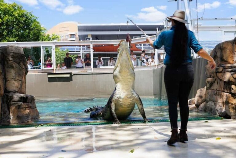 Darwin: Crocosaurus Cove and RFDS Entry - Discovering Darwin’s Heroic Past with RFDS