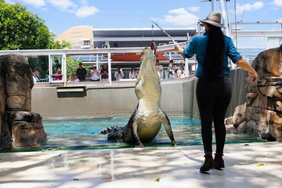 Darwin: Crocosaurus Cove and RFDS Entry - Discovering Darwin’s Heroic Past with RFDS