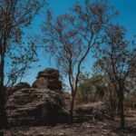 Darwin: Kakadu National Park Day Tour with Lunch - The Itinerary Breakdown: A Day Packed with Highlights