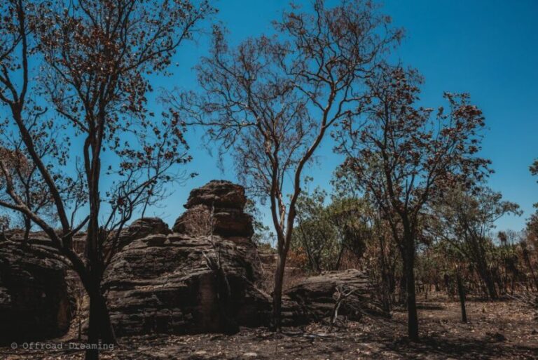 Darwin: Kakadu National Park Day Tour with Lunch - The Itinerary Breakdown: A Day Packed with Highlights