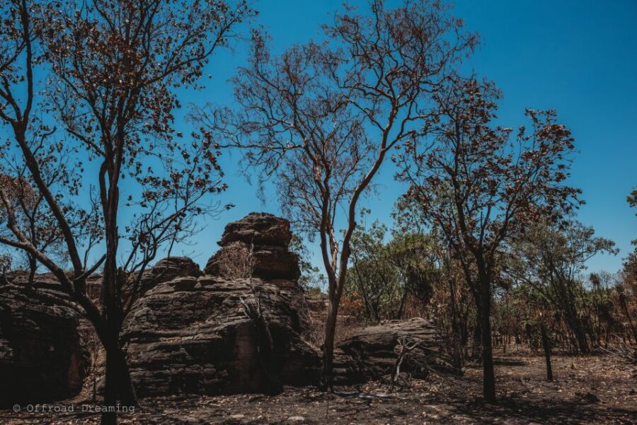 Darwin: Kakadu National Park Day Tour with Lunch - The Itinerary Breakdown: A Day Packed with Highlights