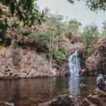 Darwin: Litchfield Day Tour and Private Crocodile Cruise - Analyzing the Value