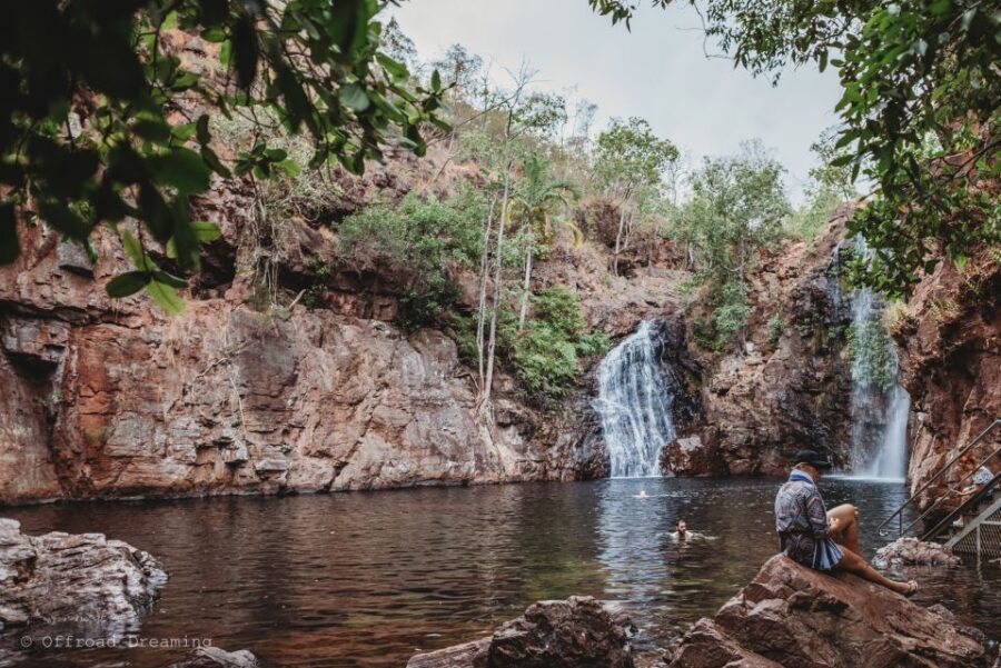 Darwin: Litchfield Day Tour and Private Crocodile Cruise - Analyzing the Value