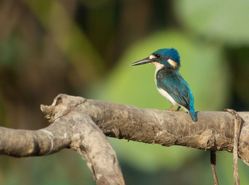 Darwin: Mary River Wetlands Wildlife Cruise with Lunch - Practical Tips & Considerations