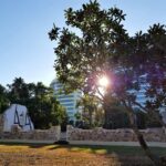 Darwin: Small Group 2-Hour Heritage Walk - Discovering Darwin’s Heritage in a Two-Hour Stroll