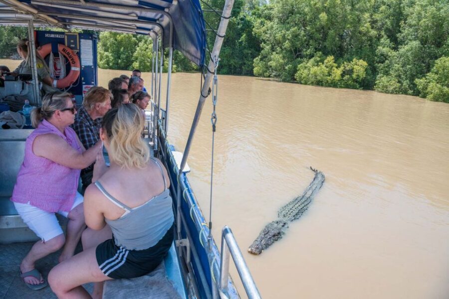 Darwin: Spectacular Jumping Crocodile Adelaide River Cruise - Why This Tour Stands Out