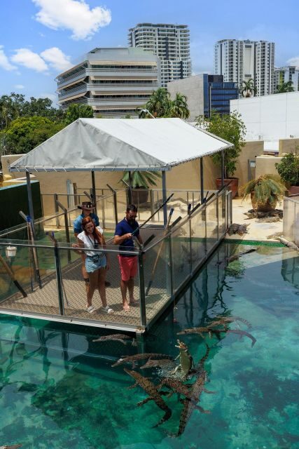 Darwin: VIP Crocosaurus Cove Experience - Overview of the Experience