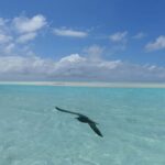 Day cruises to Tetiaroa - The Itinerary Breakdown