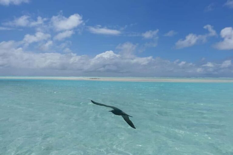 Day cruises to Tetiaroa - The Itinerary Breakdown