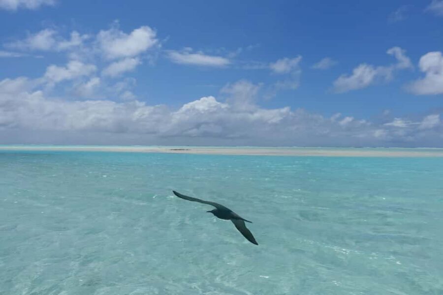 Day cruises to Tetiaroa - The Itinerary Breakdown