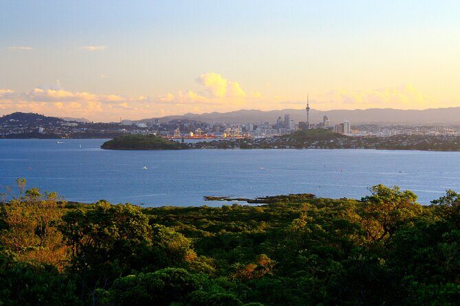 Day sea kayak tour Rangitoto Island - The Practical Side: Logistics, Equipment, & Safety