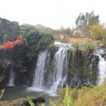 Day - Tour Ampefy - Authentic Experiences and Real Traveler Feedback