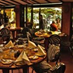 Day Tour: Giraffe Center,Elephant Orphanage& Carnivore Lunch - What to Expect: Step-by-Step Breakdown