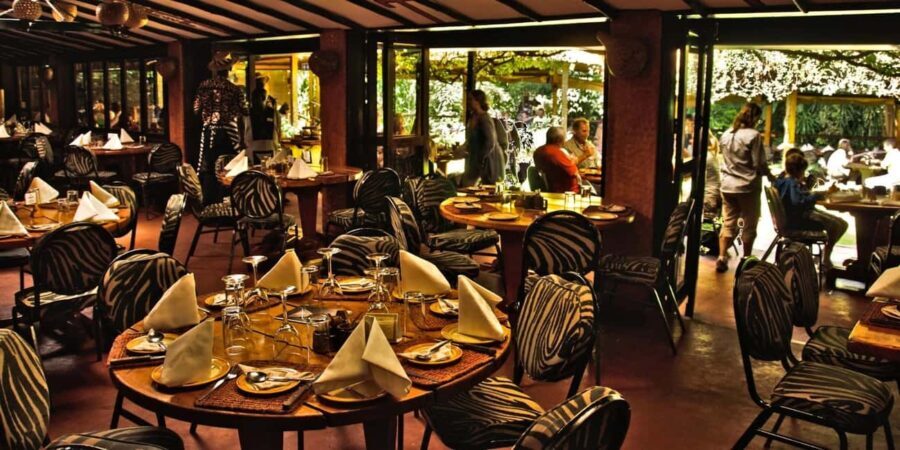 Day Tour: Giraffe Center,Elephant Orphanage& Carnivore Lunch - What to Expect: Step-by-Step Breakdown