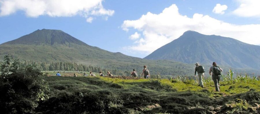 Day tour Gorilla Trekking with Lunch - Practical Details and Tips