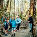 Day Tour in Mt. Field, Mt. Wellington, Bonorong Wildlife Sanctuary and Richmond - Practical Details: What You Should Know