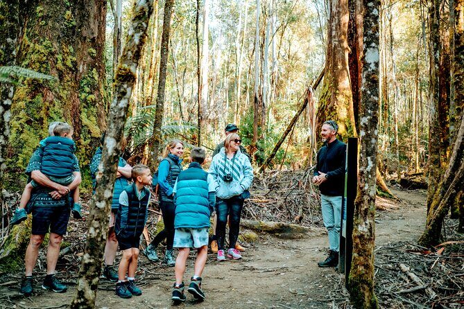 Day Tour in Mt. Field, Mt. Wellington, Bonorong Wildlife Sanctuary and Richmond - Practical Details: What You Should Know