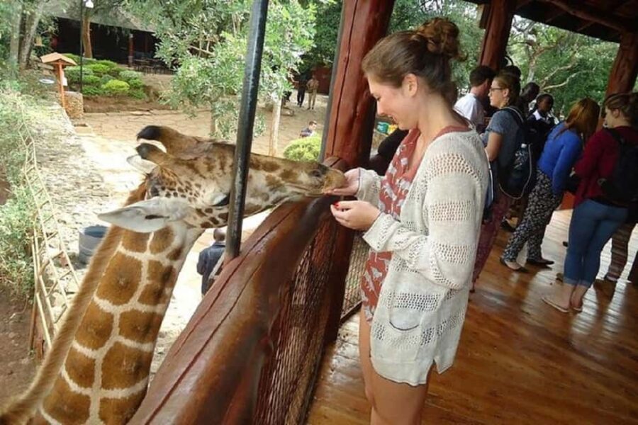 Day tour to Giraffe Center and Karen Blixen Museum - What We Love About This Tour