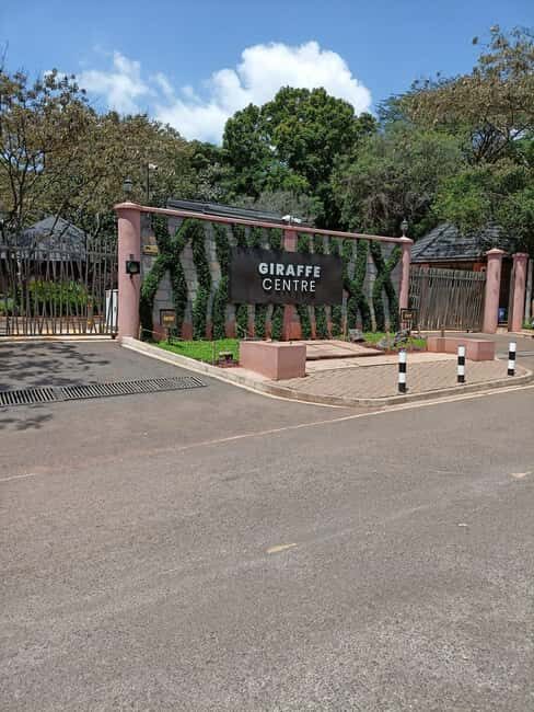 Day Tour to Giraffe Center and Karen Blixen Museum - What’s Included and What’s Not