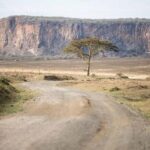 Day tour to Lake Naivasha and Hells Gate Park from Nairobi - The Value of This Tour