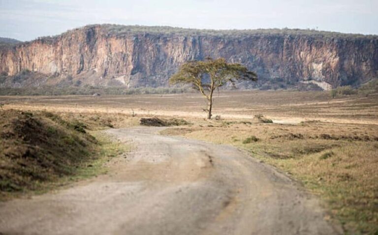 Day tour to Lake Naivasha and Hells Gate Park from Nairobi - The Value of This Tour