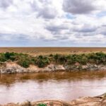 Day Tour to Maasai Mara Game Reserve from Nairobi - Exploring the Maasai Mara Day Tour — What to Expect