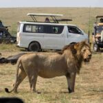 Day Tour to Maasai Mara Game Reserve from Nairobi. - An In-Depth Look at the Maasai Mara Day Tour