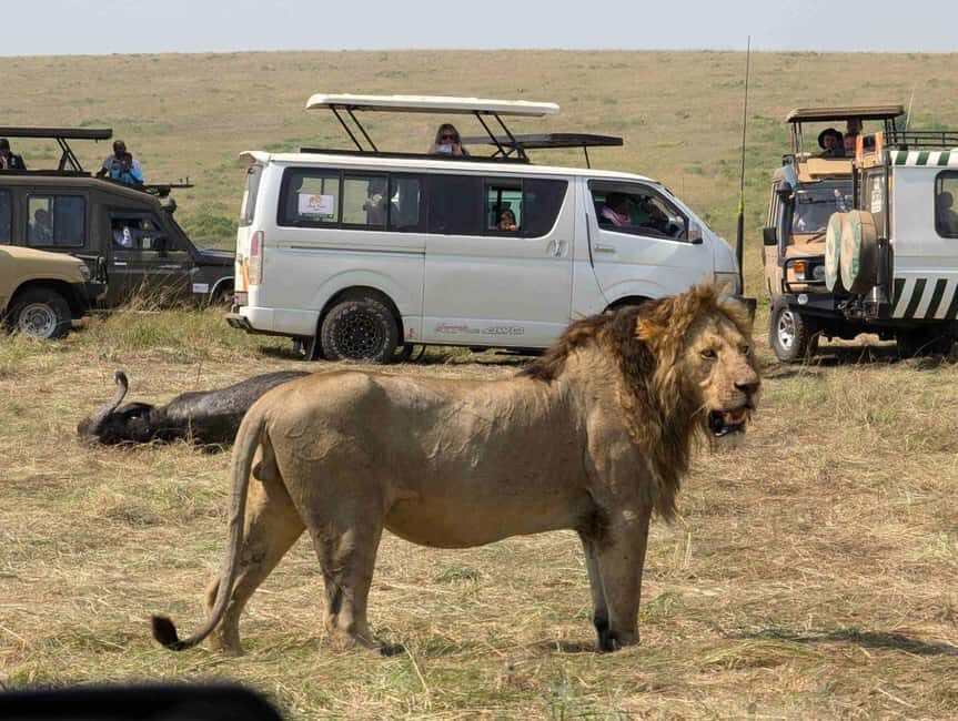 Day Tour to Maasai Mara Game Reserve from Nairobi. - An In-Depth Look at the Maasai Mara Day Tour