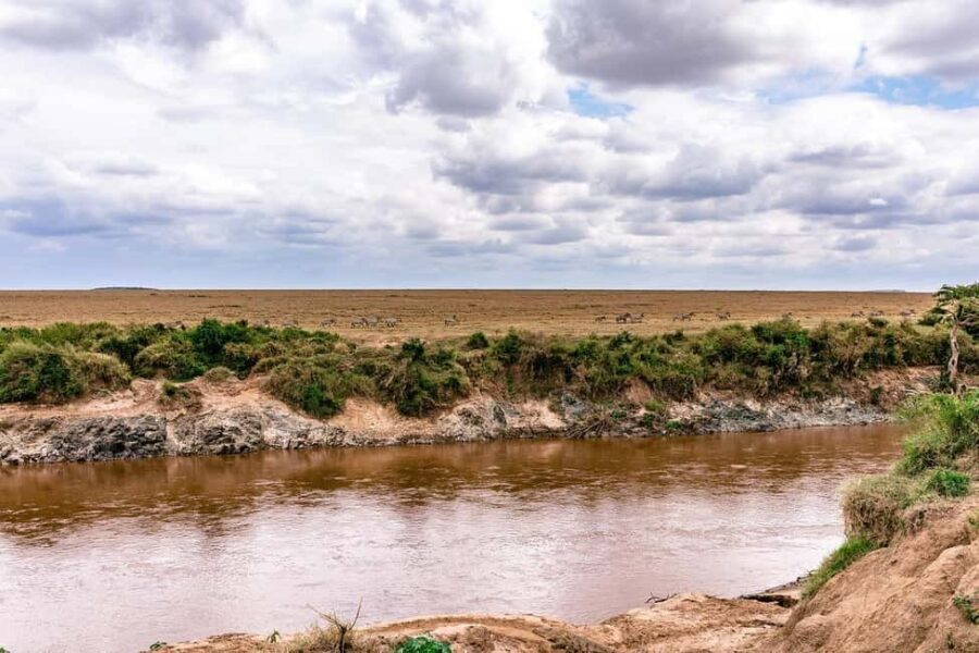 Day Tour to Maasai Mara Game Reserve from Nairobi - Exploring the Maasai Mara Day Tour — What to Expect