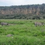 Day tour to Mount Longonot - What Makes This Tour Stand Out?