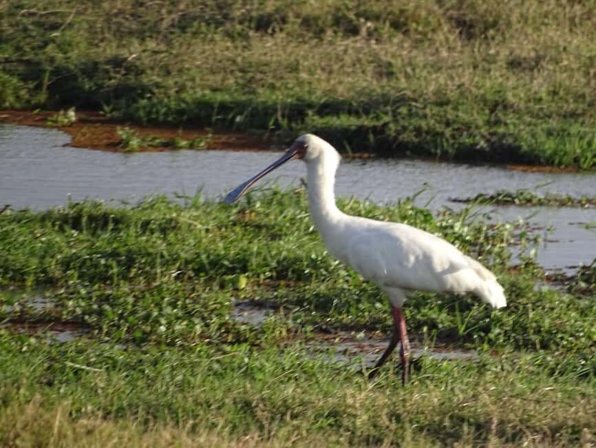 Day Tour to Nairobi Park, Elephant project &Giraffe center - Frequently Asked Questions (FAQ)