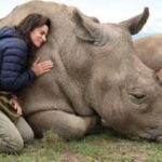 Day Tour to Ol-Pejeta Conservancy - The Itinerary Breakdown
