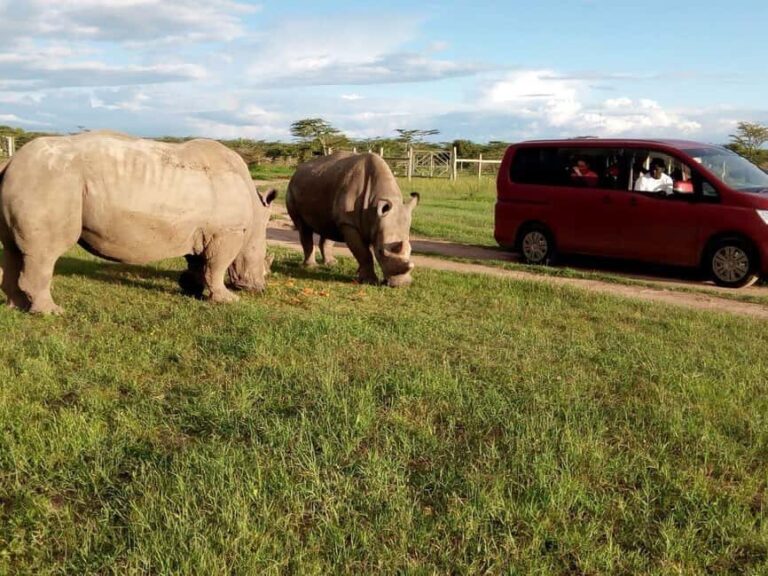 Day Tour To Ol Pejeta Conservancy From Nairobi - Practical Details and Tips