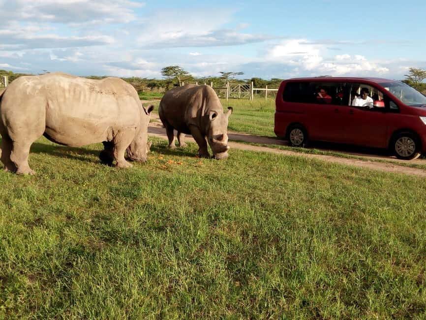 Day Tour To Ol Pejeta Conservancy From Nairobi - Practical Details and Tips