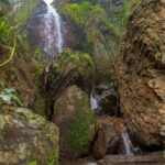 DAY TOUR TO SHIMBA HILLS NATIONAL RESERVE MOMBASA/ DIANI - What Makes This Tour Stand Out?