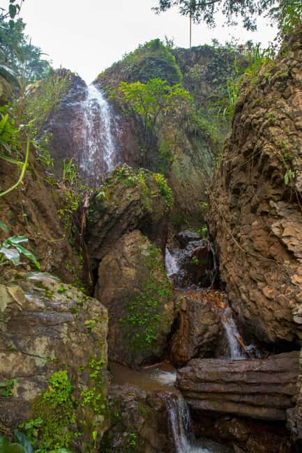 DAY TOUR TO SHIMBA HILLS NATIONAL RESERVE MOMBASA/ DIANI - What Makes This Tour Stand Out?