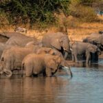 Day trip: Discover Napuru Waterfalls: - What to Expect on the Napuru Waterfalls Tour