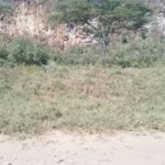 Day Trip: Hells Gate and optional Boat Ride at Lake Naivasha - Why This Tour Offers Great Value